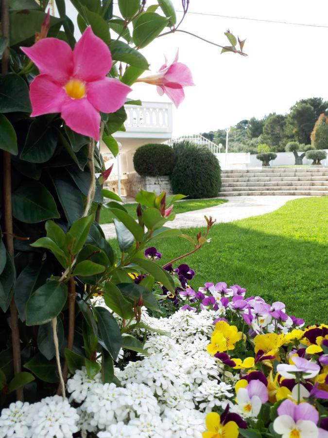 Villa Natia Mottola Zewnętrze zdjęcie